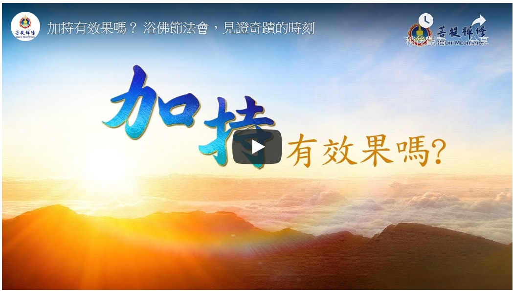 「金菩提」加持|金菩提法會|金菩提評價